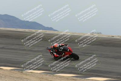 media/Nov-15-2025-Race Pace (Sat) [[8de605a2d8]]/Non Verified Riders (1st 20 Minutes)/Bowl (1015am)/